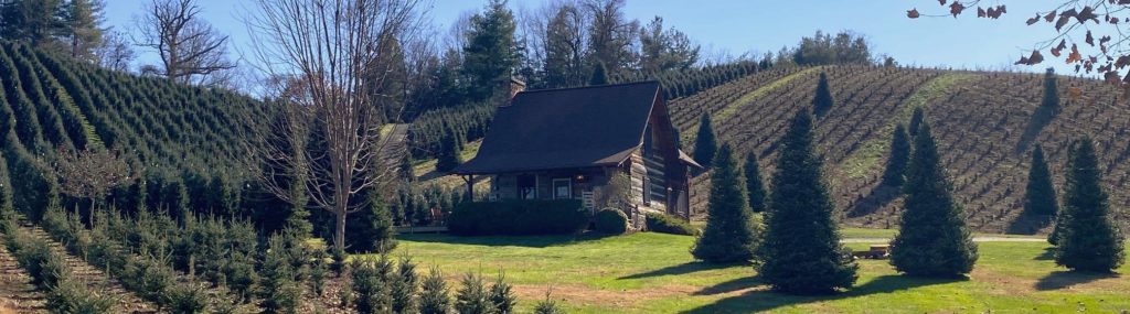 View from Clinch Valley Cabin - Picture of Boyd Mountain Log Cabins,  Waynesville - Tripadvisor