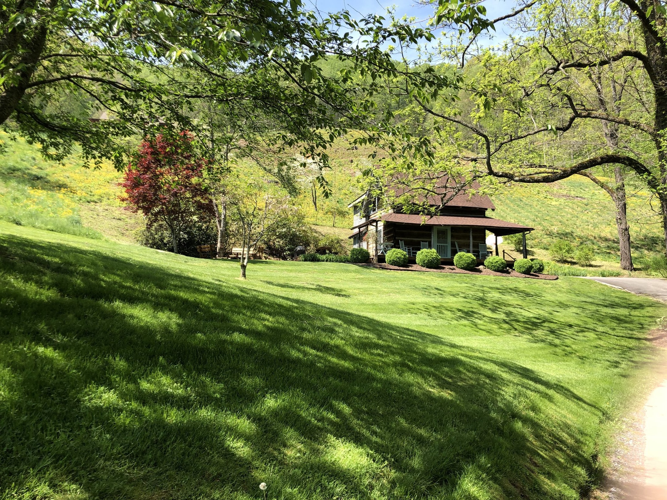 Meadow Fork log cabin exterior